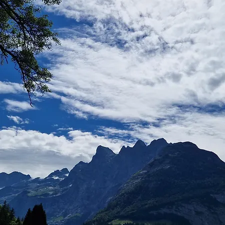 Отель Landgasthof Taennler 2*